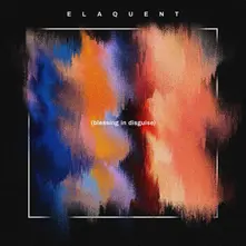 Vinyl BLESSING IN DISGUISE