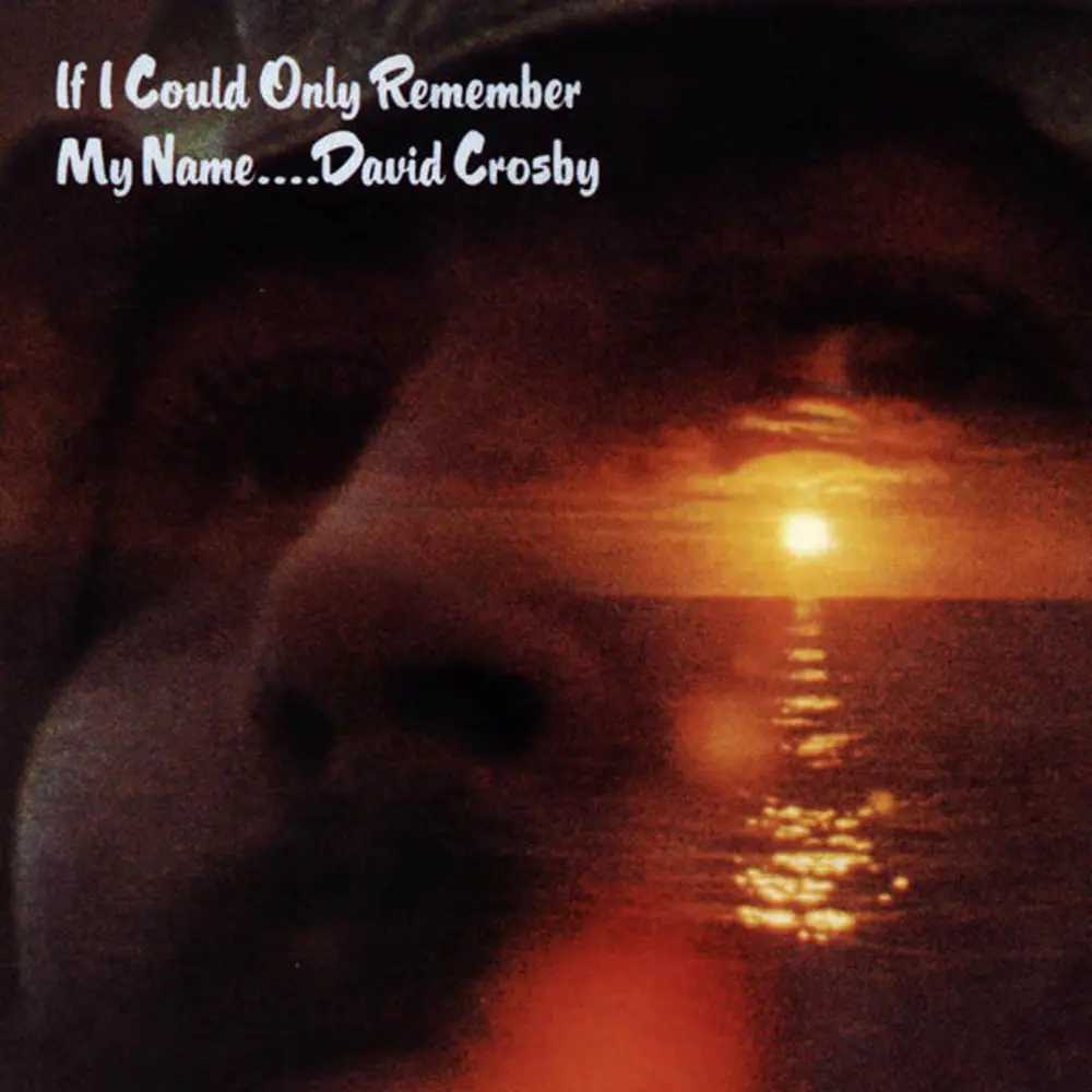 IF I COULD ONLY REMEMBER MY NAME