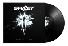 Vinyl AFTER THE STORM