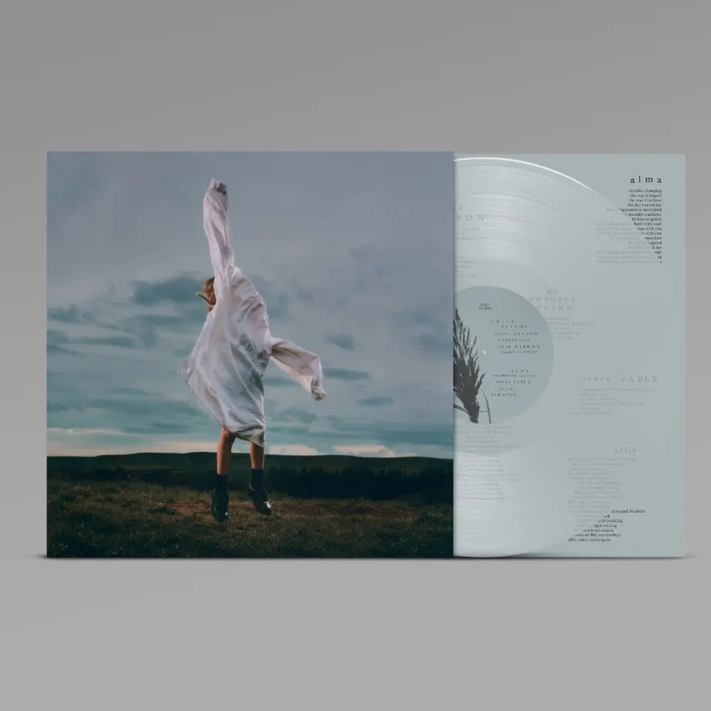 deary – BIRDING (Vinyl)