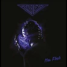 Vinyl NEW FLESH