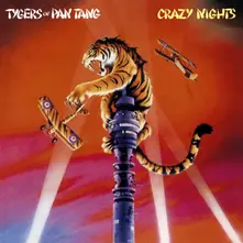 CD Crazy Nights