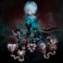 Björk, Vinyl FOSSORA