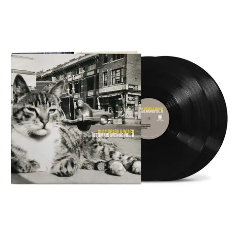 Vinyl MERMAID AVENUE VOL. II