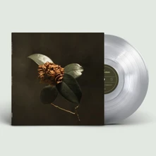 St. Paul and The Broken Bones, Vinyl YOUNG SICK CAMELLIA