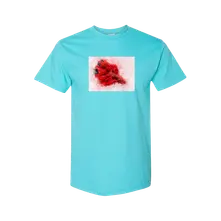 Bojovnica (Betta) thumbnail