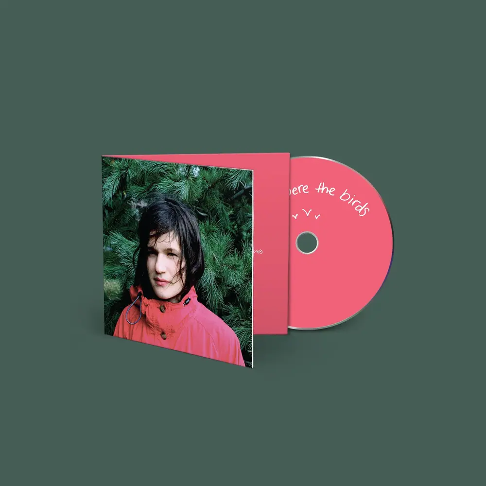 Adrianne Lenker – HOURS WERE THE BIRDS (CD)