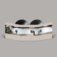 Dirty Projectors, Vinyl 5EPS