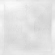 These New Puritans – HIDDEN (Vinyl)