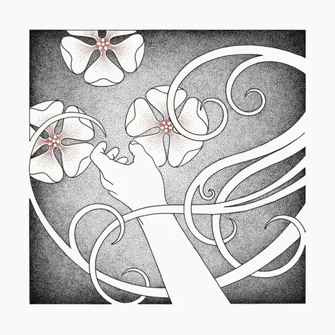 Whispering Void – Vinyl AT THE SOUND OF THE HEART
