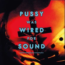 Vinyl PUSSY WAS WIRED FOR SOUND