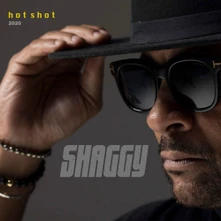 CD HOT SHOT 2020/DELUXE