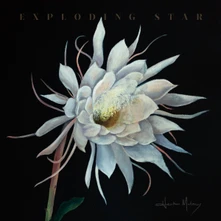 CD Exploding Star