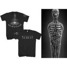BW Spectre thumbnail