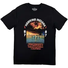 Stranger Things - Hawkins 008 thumbnail
