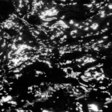 Vinyl GROUPER - AIA: DREAM LOSS