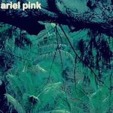 Ariel Pink, Vinyl ODDITTIES SODOMIES VOL.3