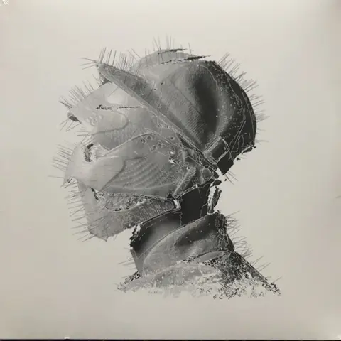 Woodkid – Vinyl GOLDEN AGE (2020)
