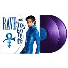 Vinyl Rave Un2 the Joy Fantastic