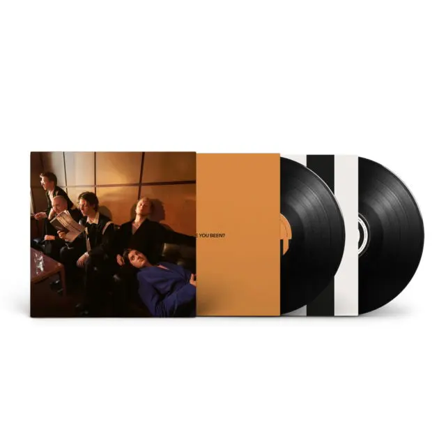 Giant Rooks – HOW HAVE YOU BEEN? (Vinyl)