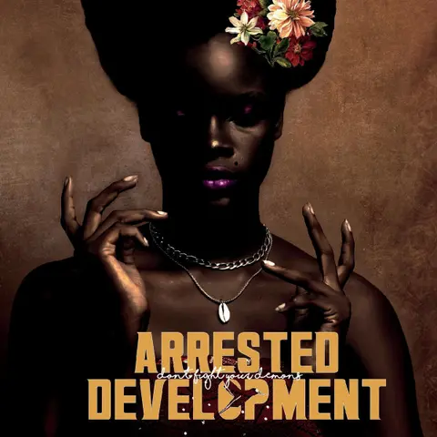 Arrested Development – Vinyl Don't Fight Your Demons