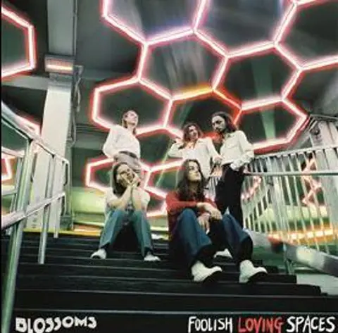 FOOLISH LOVING SPACES