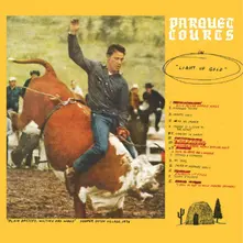 Parquet Courts – LIGHT UP GOLD/TALLY ALL THE THINGS THAT YOU BROKE (CD)