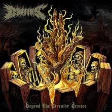 BEYOND THE CIRCULAR DEMISE thumbnail