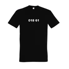 018 61 thumbnail