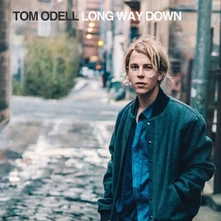 Vinyl Long Way Down