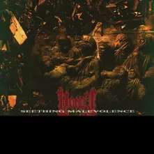 CD Seething Malevolence