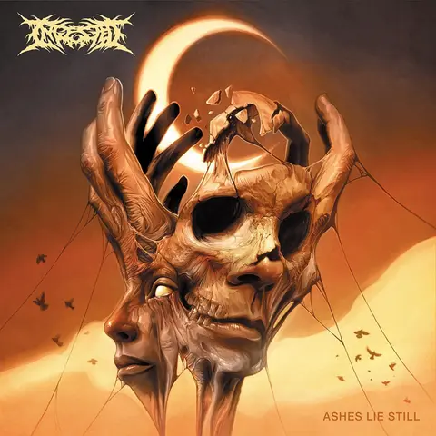 INGESTED - ASHES LIE STILL