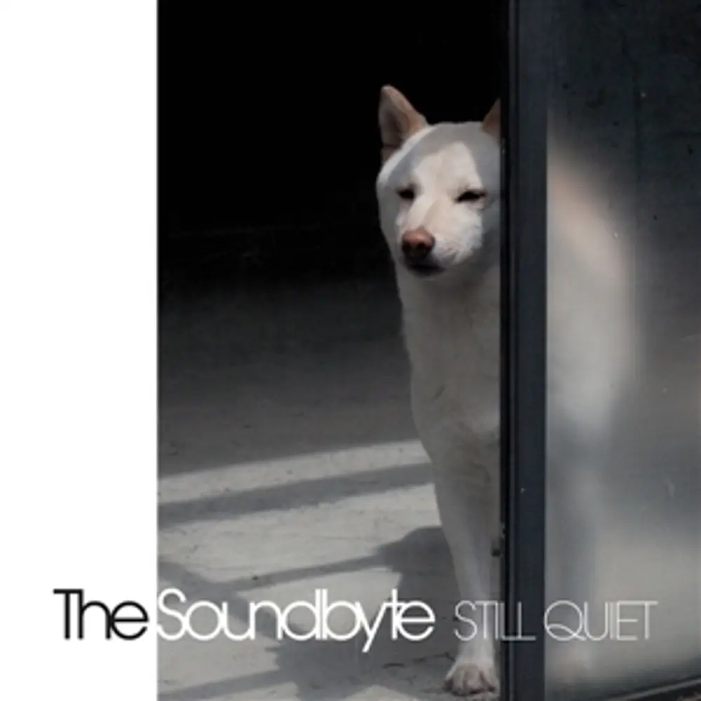 STILL QUIET (Vinyl)