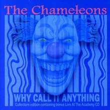 CD CHAMELEONS - WHY CALL IT ANYTHING