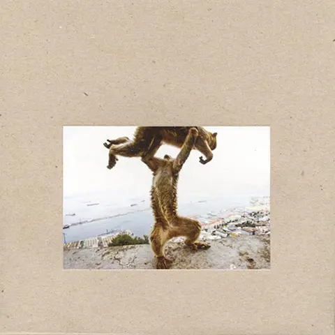 Vinyl SHELLAC - DUDE INCREDIBLE