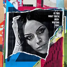 Amy Macdonald, Vinyl Is This What You've Been Waiting For?