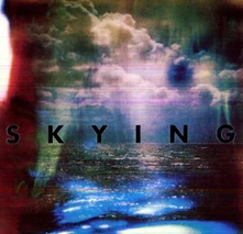 The Horrors, Vinyl SKYING