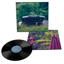 Eiko Ishibashi & Jim O'Rourke, Vinyl PAREIDOLIA