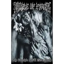 Principle Of Evil Made Flesh thumbnail