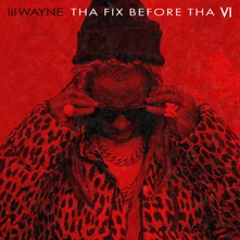 Lil Wayne, Vinyl Tha Fix Before Tha VI