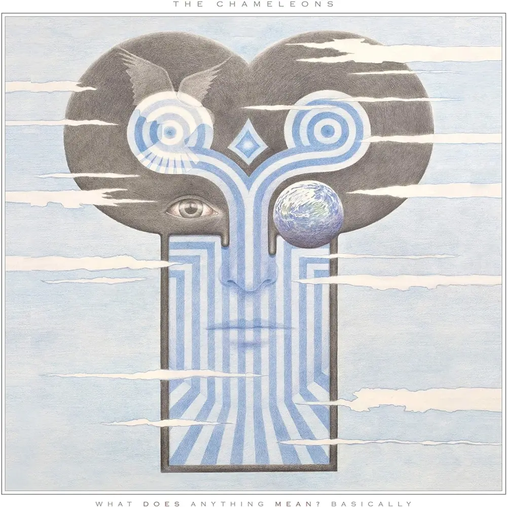 The Chameleons – CHAMELEONS - WHAT DOES ANYTHING MEAN? BASICALLY (Transparent Vinyl) (Vinyl)