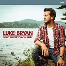 CD WHAT MAKES YOU COUNTRY