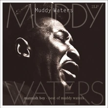 Muddy Waters, Vinyl MANNISH BOY:BEST OF