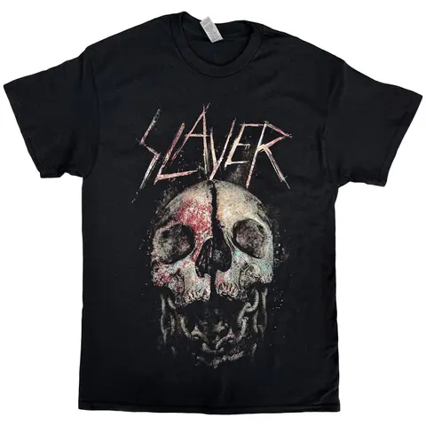 Cleaved Skull