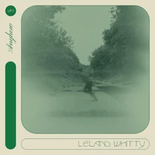 Leland Whitty, Vinyl ANYHOW