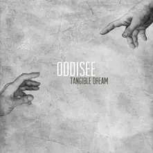 Oddisee, Vinyl TRIP THE NIGHT FANTASTIC