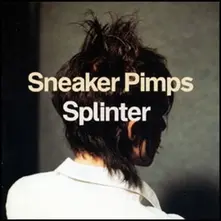 Vinyl SPLINTER