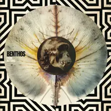 Vinyl From Nothing