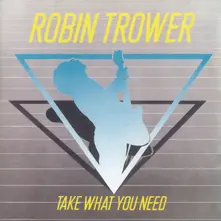 TAKE WHAT YOU NEED thumbnail