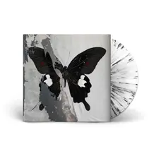 Vinyl PARADISE NOW